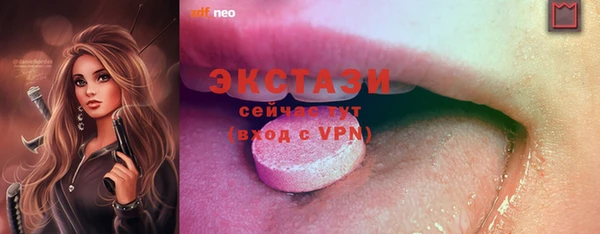 соль ск Новодвинск