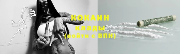 соль ск Новодвинск