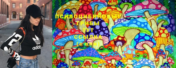 соль ск Новодвинск