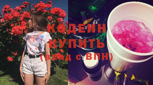 соль ск Новодвинск