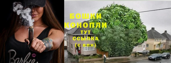 MESCALINE Новозыбков